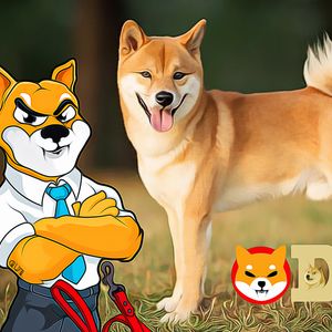 Shiba Inu Introduces New Layer for Swift and Secure Projects