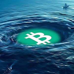 Bitcoin’s Resilient Journey: From Market Slump to Optimistic Predictions