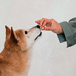Shiba Inu Defies Economic Forces With Dramatic Supply Impact