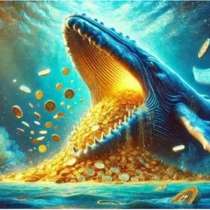 How to Earn $1,780 or More Using Whaling Techniques?