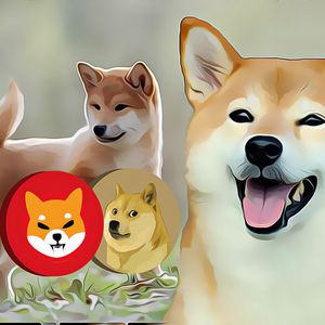 Shiba Inu Holders Commit for the Long Haul, Defying Market Volatility