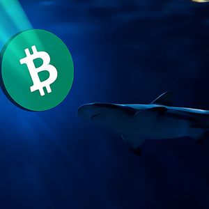 Massive Bitcoin Transfers Shake Up Binance as BTC Tops New Heights