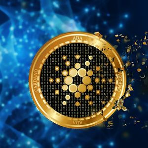 Cardano Collaborates with XRP: Midnight Blockchain Introduces Exciting Opportunities