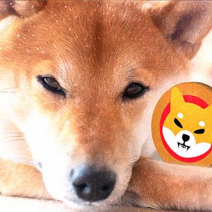 Shiba Inu Attracts Attention with Major Market Moves