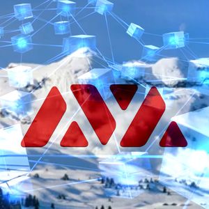 Bitcoin and Altcoins Rally as Market Dynamics Shift