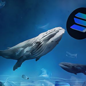 Discover Solana’s Stellar Progress with DeFi Development’s Strategic Acquisitions