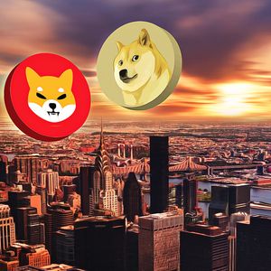 Massive Wallet Stirs Tension in the Shiba Inu Community