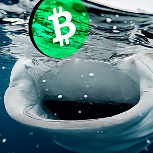 Bitcoin’s Supply Surge Signals New Selling Wave