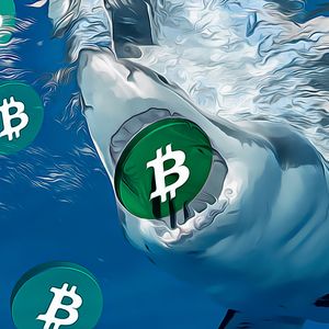 Justice Department Imposes Severe Sanctions on Crypto Founder