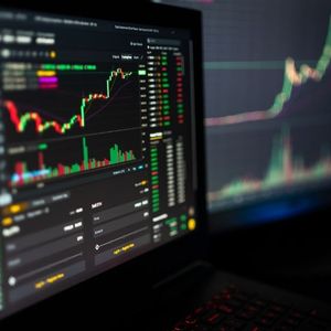 Cryptocurrency Booms: Investors Focus on Altcoins’ Unprecedented Movements