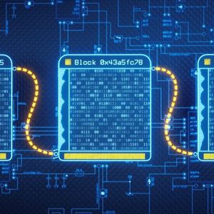 Cardano Network Splits After Cryptographic Bug Exploited