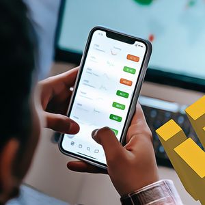 Binance Users Boost Bitcoin and BNB Holdings