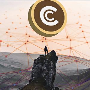 High Stakes for Bitcoin: Long Bull Run or Fresh Bear Market?