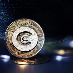 The Crypto Market Faces Dramatic Fluctuations as Year-End Approaches