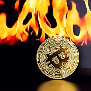 Bitcoin Battles to Maintain Momentum at $88,000