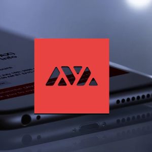 Investors Rally as HYPE Coin Skyrockets While AVAX Struggles to Shine