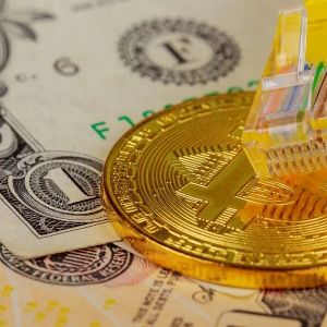 Bitcoin’s Sharp Drop Tests Investor Confidence