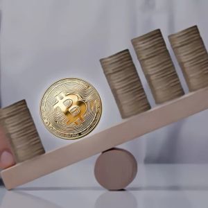 Bitcoin Sets New Loss Records in Unprecedented Market Decline