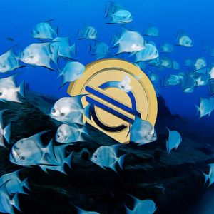 Stellar Faces Crucial Test In Cryptocurrency Market Storm