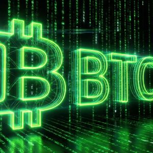 Binance Scoops Up $4 Billion in Bitcoin as Fear Grips Crypto Market