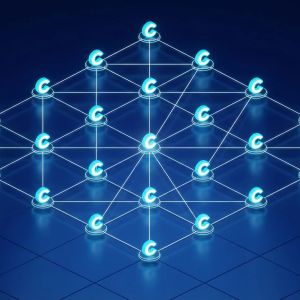 DeFi Protocols Tap Into Reinsurance to Diversify Yields With Stablecoins