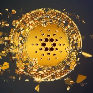 Cardano Holds at Crucial Support as On-Chain Activity Intensifies