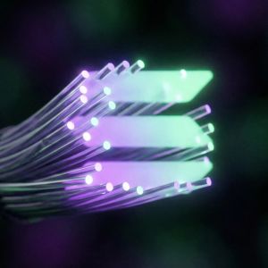 Solana Whale Frees $164 Million in Tokens Without Triggering Market Jitters