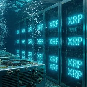 Ripple Advances BLOOM Initiative With RLUSD Stablecoin In Singapore Pilot