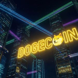 Dogecoin transaction volume jumps 241 percent to $800 million