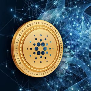 Cardano whales control 67.5 percent as ADA slumps 92 percent