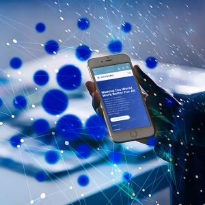 Cardano whales now control 25.11 billion ADA at record high