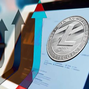 Major wallets holding 10,000 LTC or more jump by 7%! What’s driving renewed interest in Litecoin?