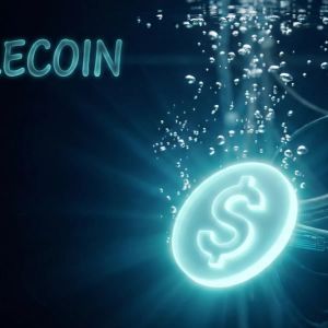 Trace Finance secures 32 million dollars in fresh funding! What lies ahead for stablecoins in cross border payments?