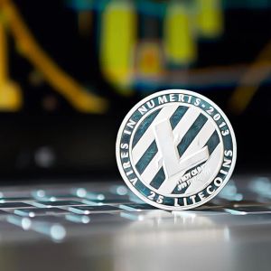 Litecoin officially aligns with EU MiCA rules! What is the next move investors are watching?