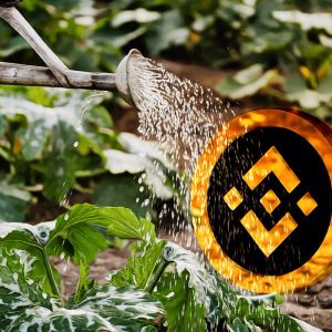 BNB Chain throughput hits 5,200 TPS, targets another 2x gain in H2 2026