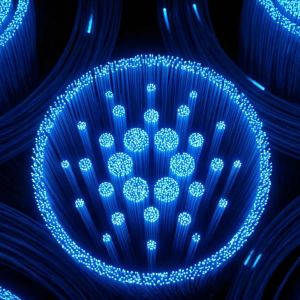 Large Cardano holders accumulate 25.65 billion ADA ahead of Van Rossem upgrade