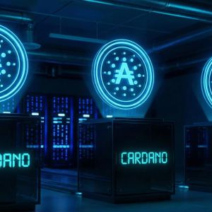 Cardano celebrates 6 years of staking since Shelley upgrade