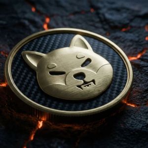 764 whales control 94% of SHIB, price eyes $0.00000500 breakout