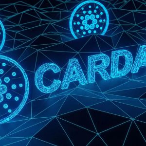 Cardano surges 10% as whale accumulation signals macro reversal
