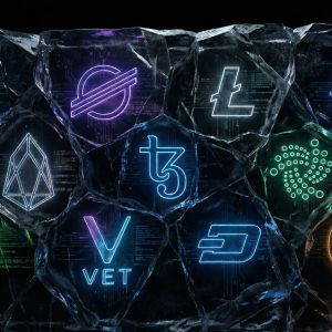Zcash activates NU7 upgrade on testnet, mainnet decision set for October 20