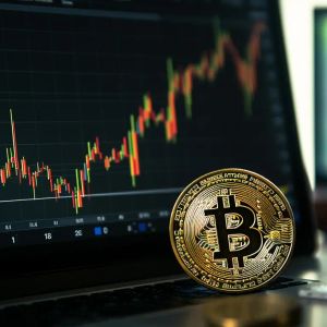 Bitcoin Fees Hits 6-month High as Bitcoin Ordinals Revives