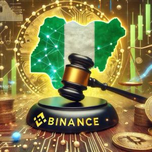 Nigerian Blockchain Committee Raises Concerns