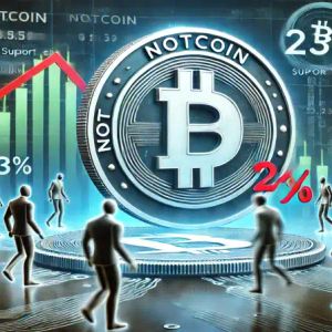 Notcoin Faces Drop, Investors Step In to Stabilize