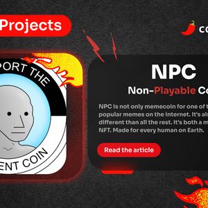 Spicy Projects #2: NPC