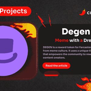 Spicy Projects #3: Degen