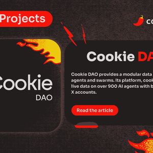 Spicy Projects #7: Cookie DAO