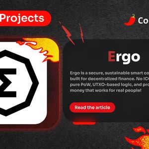 Spicy Projects #20: Ergo