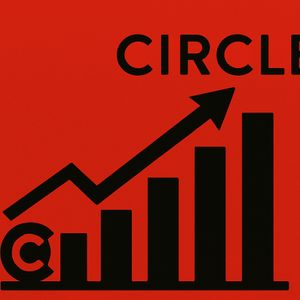 Crypto Stocks Soar: Circle Leads the Charge with 530%
