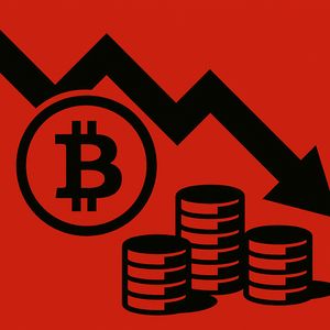 Crypto Market Sees Significant Price Drop