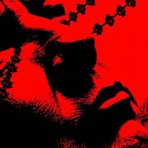 House Report Alleges Trump Crypto Empire Enables Foreign Influence